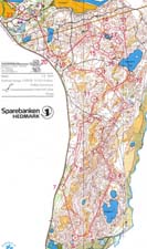 2009.07.03 WOC-selection Middle Holom Folldal Norway