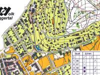 WOC 2012 training