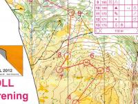 OLL Downhill training