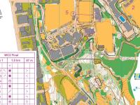 WC-2 Sprint Final, part 1 (08/01/2013)