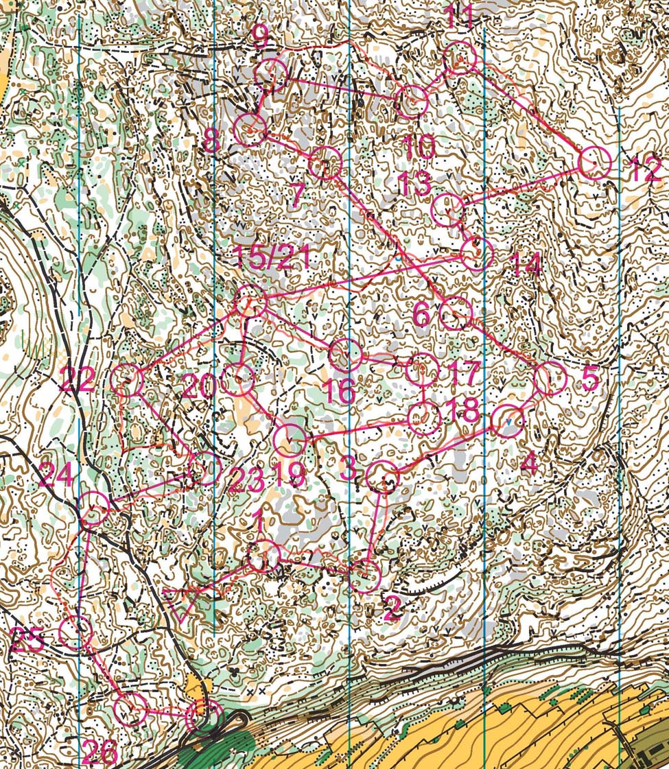 WOC 2011 training (12.05.2011)