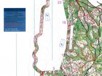 WOC 2011 training