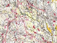 WOC 2011 training