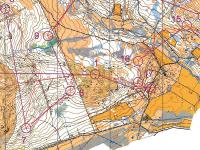 WOC 2015 training