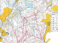 Jukola 2015 training, loop 1