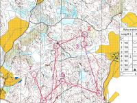 Jukola 2015 training, loop 1