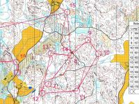 Jukola 2015 training, loop 2