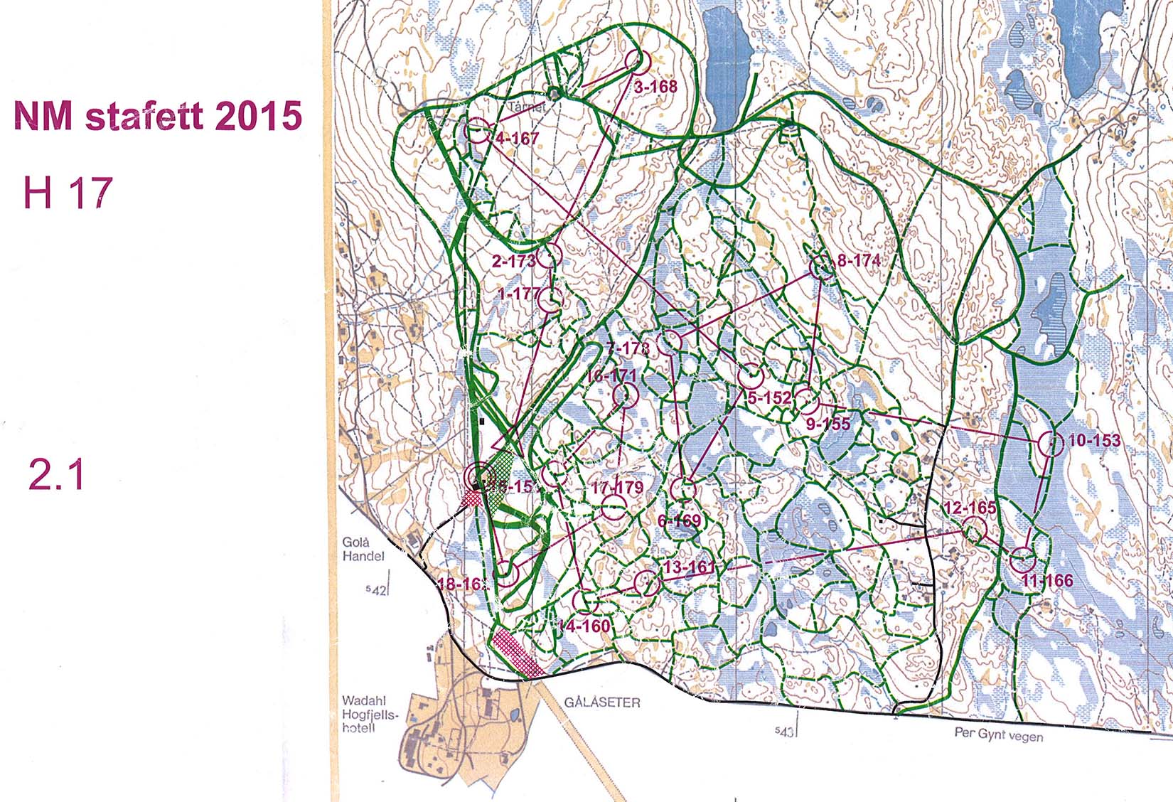 Ski-o NM relay (11.01.2015)