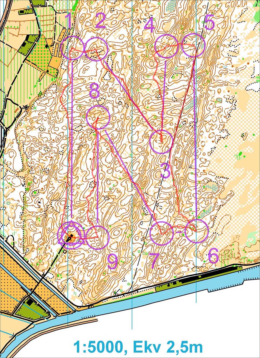 Night training (15.02.2015)